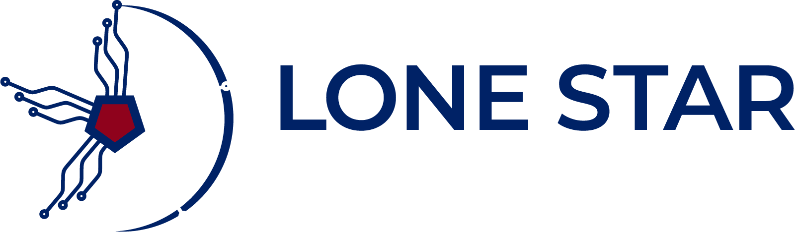 Lone Star IT Consulting Services